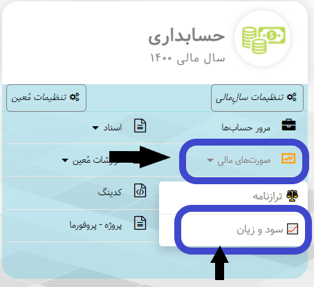 سود وزیان نرم افزار تحت وب هما